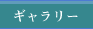 ギャラリー